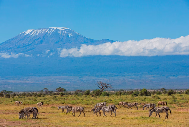 MT. KILIMANJARO CLIMB VIA LEMOSHO 9 DAYS