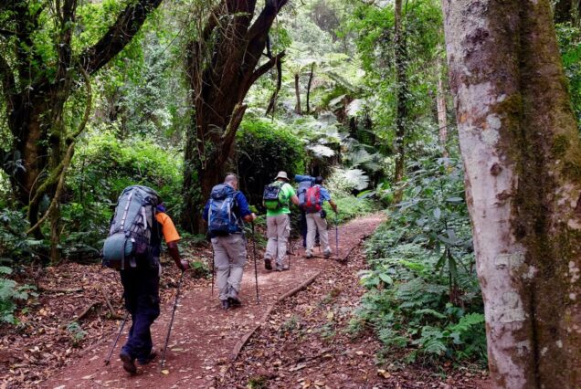 MT. KILIMANJARO CLIMB VIA LEMOSHO ROUTE 5 DAYS