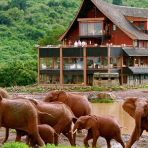 Overnight safari to Aberdare National Park